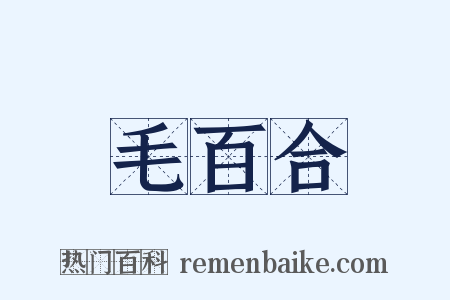 毛百合是什么意思的图片